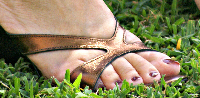 cousin's toes in callisto wedge heels