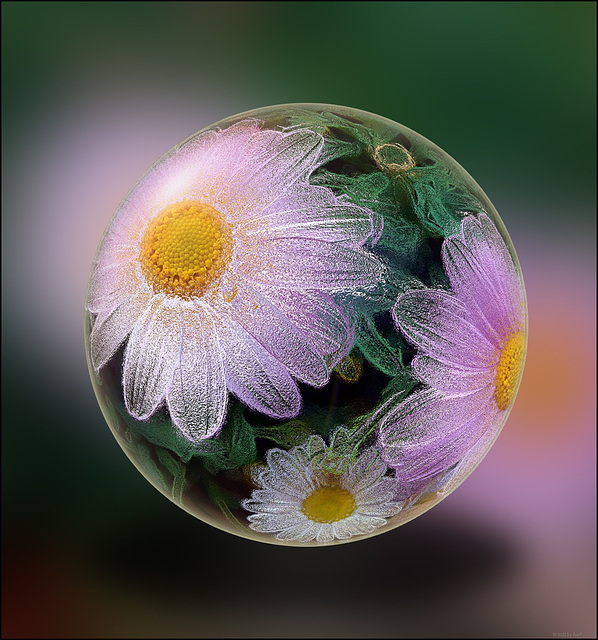 flower globe 2