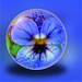 flower globe 3