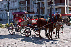 20120316 7819RAw [TR] Pferdekutsche, Izmir, Türkei