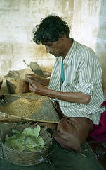 Beedi (cigarette) maker
