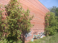 Façade, tag et arbuste / Shrubs, tags and brick wall.