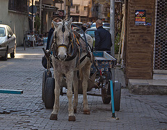 20120316 7790RAw [TR] Pferdekutsche, Izmir, Türkei