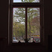20120428 8805RAw [OB] Fenster