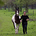 20120428 8770RAw [D~MH] Pferd + Reiterin