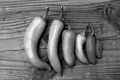 Peppers In Black And White