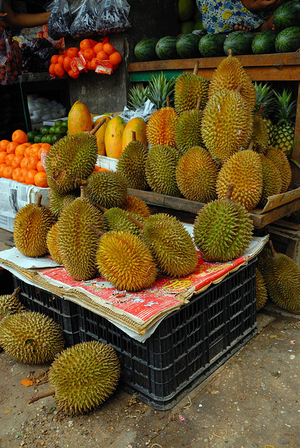 Durian fruit for sale in Yangon