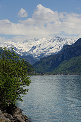 Le lac de Brienz...