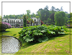 chateau et parc Nacqueville  2 juin 2012 044