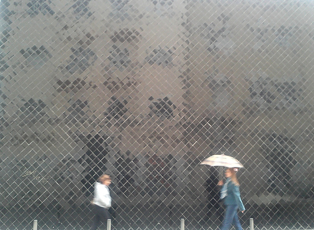 Rainy Wall