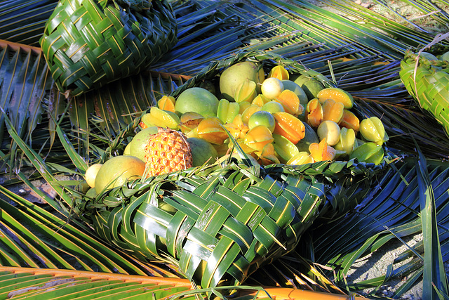 Utilisation des palmes de cocotiers dans la vie quotidienne des tahitiens