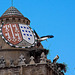 20120506 8962RAw [E] Alfiler-Turm, Weißstorch, Trujillo
