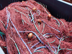 Córcega- Redes de pesca
