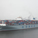 Gigant in Hamburg / Containerschiff  COSCO  FAITH