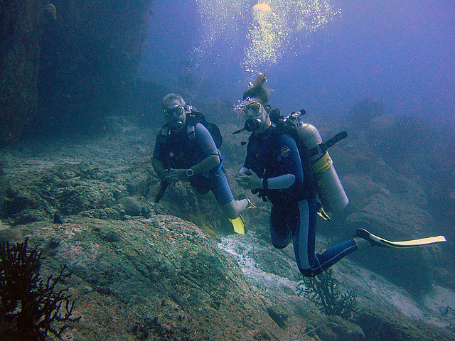 Waiting for the sharks