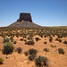 Tower Butte (2583)
