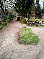 Grab an einer Weggabelung - Dartmoor - 120331 (mobile)