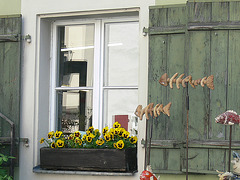 Fenster-Allerlei in Regensburg
