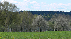 Frühling in Mainburg