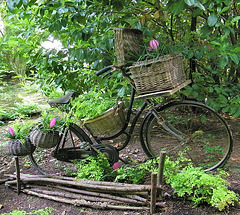 Bicyclette végétale
