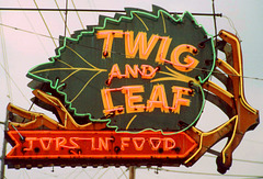 Twig_and_Leaf_KY