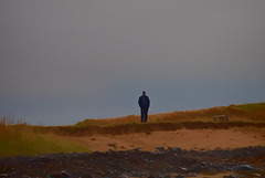 watcher on the dunes