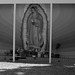 Our Lady Of Guadalupe - East Los Angeles (0711)
