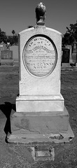 Eleven-year old died in 1881 - Evergreen Cemetery (0734)