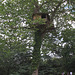 Cabane dans les arbres de Tadashi Kawamata (3)