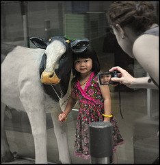 Future model -- the cow or the girl?
