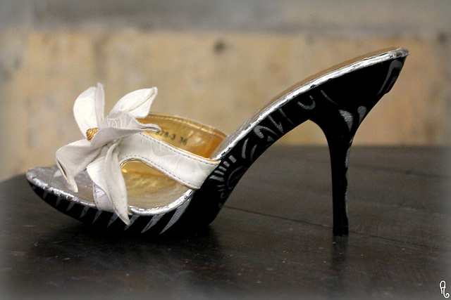 Dame Annick et ses Bilitis / Lady Annick's Bilitis heels.
