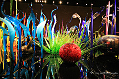 Chihuly sculptures (1)