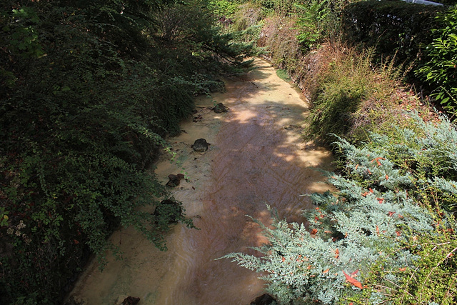 Ruisseau de Romeuf (Sardon)- Vallée de Sans-Soucis à Châtel-Guyon (3)