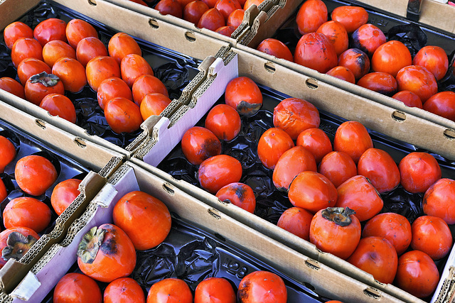 Persimmons – The Ferry Building Marketplace, San Francisco, California