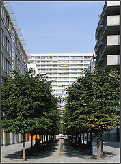 Berlin 2010 408
