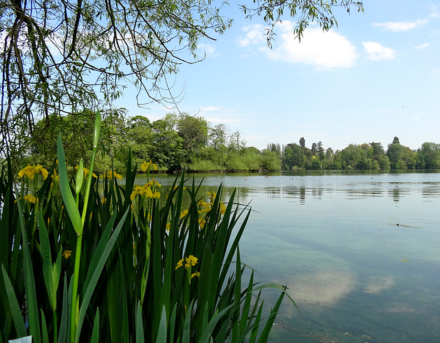 Lakeside view Lakeside view
