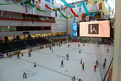 Dubai 2012 – Ice rink in the Dubai Mall