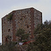 20120507 9134RTw [E] Santuario de Monfragüe