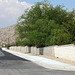 Sonora Sidewalk (6692)