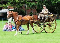 Carriage Driving (b)