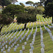 Fort Rosecrans National Cemetery (6358)