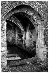 Waverley Abbey ruins X-M1 11