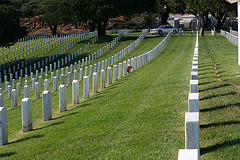 Fort Rosecrans National Cemetery (6385)
