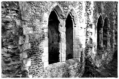 Waverley Abbey ruins X-M1 10