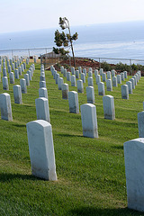 Fort Rosecrans National Cemetery (6386)