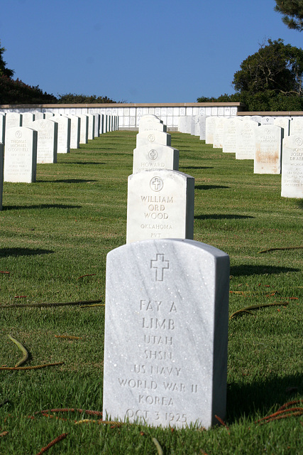 Fort Rosecrans National Cemetery (6397)