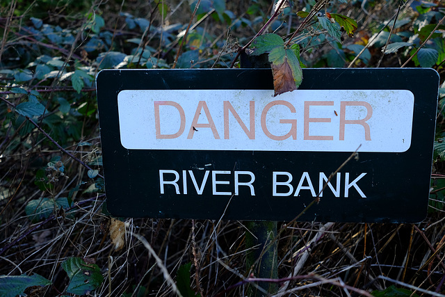 Waverley Abbey Danger River Bank X-M1