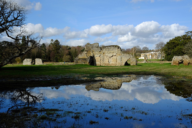 Waverley Abbey ruins X-M1 8