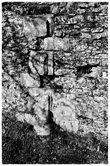 Waverley Abbey ruins X-M1 2