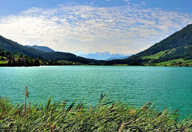 Le lac d'Aegeri (Suisse centrale)...